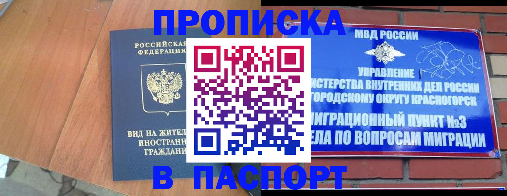 найти адрес прописки в Торопеце